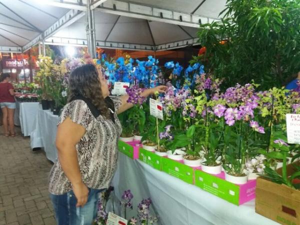 Realizado em Floriano o 3° Festival das Flores de Holambra