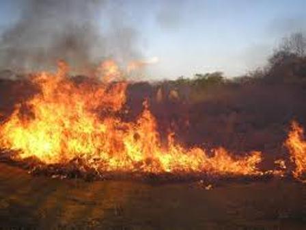 Chuvas e monitoramento de 400 terrenos inibiram incêndios