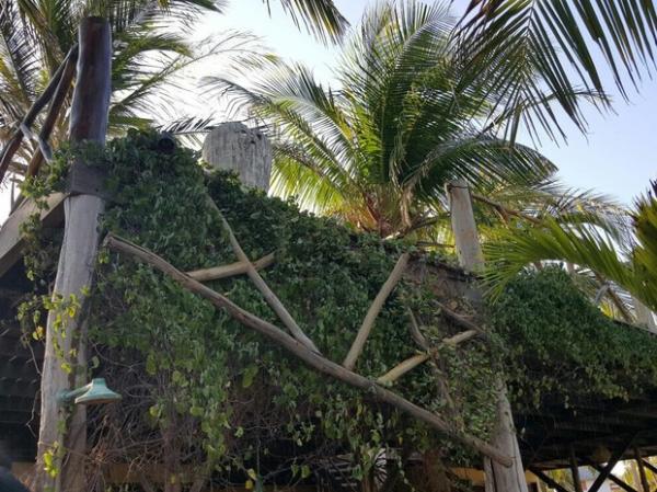 Crea-PI inicia inspeção em pousada onde turistas de GO caíram de sacada