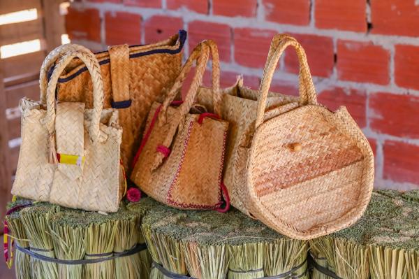 Palha de carna&uacute;ba ser&aacute; comercializada no evento.(Imagem:Geirlys Silva / SAF)
