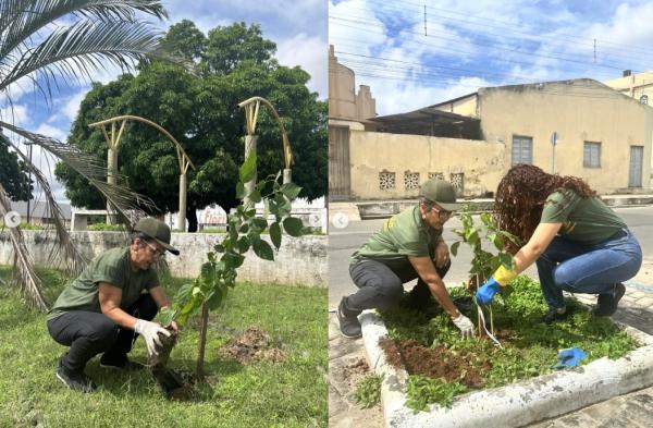 Prefeitura realiza plantio de árvores em praças e espaços públicos de Floriano(Imagem:Reprodução/Instagram)