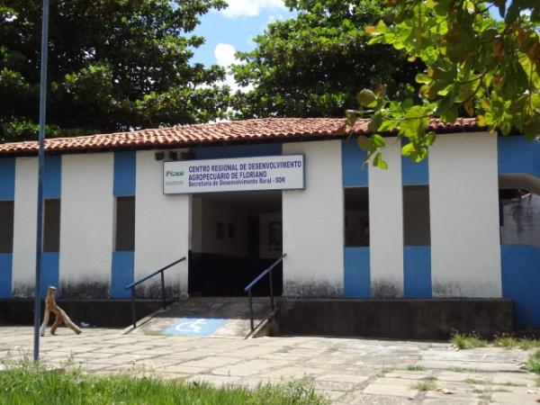 ADAPI divulga nova data de vacina&ccedil;&atilde;o contra Aftosa.(Imagem:FlorianoNews)