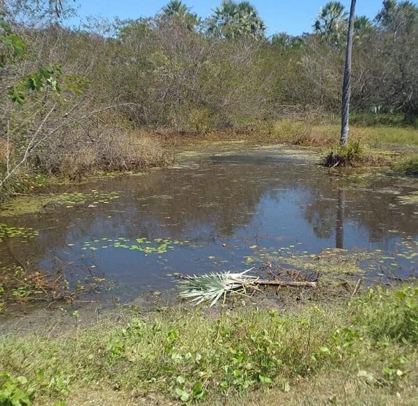 Rec&eacute;m-nascida &eacute; encontrada morta com cord&atilde;o umbilical em Castelo do Piau&iacute;(Imagem:Reprodu&ccedil;&atilde;o)