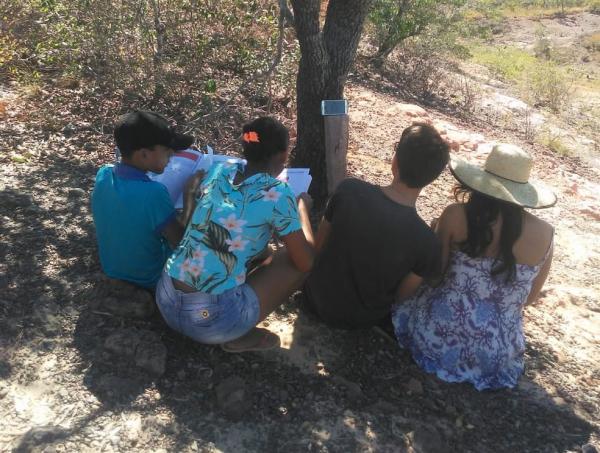 Alunos sobem em &aacute;rvore em cima de morro para assistirem a aulas remotas no Piau&iacute;(Imagem:Reprodu&ccedil;&atilde;o)