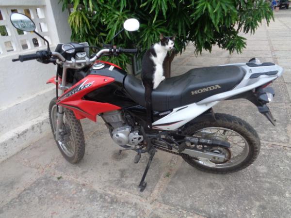 Polícia recupera motocicleta usada em assalto em Floriano.(Imagem:FlorianoNews)