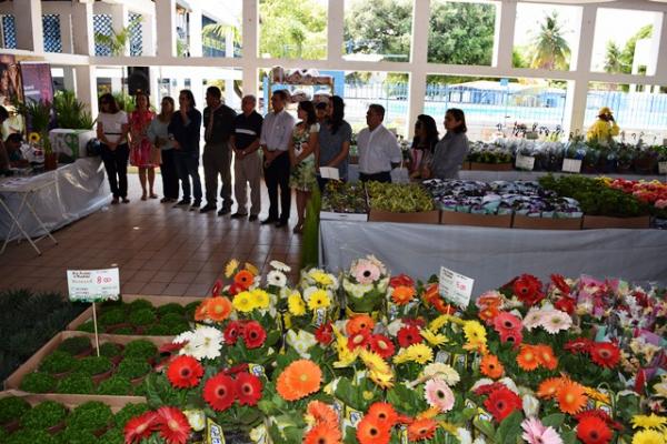 Aberto em Floriano o 1&ordm; Festival das Flores de Holambra.(Imagem:Waldemir Miranda)