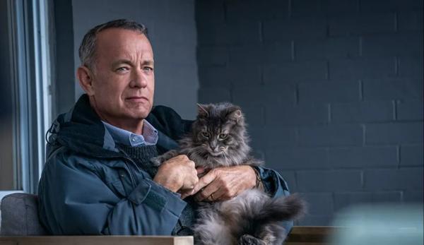 Tom Hanks protagoniza a comédia dramática "O Pior Vizinho do Mundo" e diz ser um "ator egoísta e com