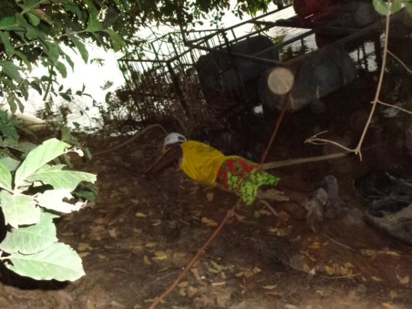 Homem morre eletrocutado às margens do rio Parnaíba durante pescaria