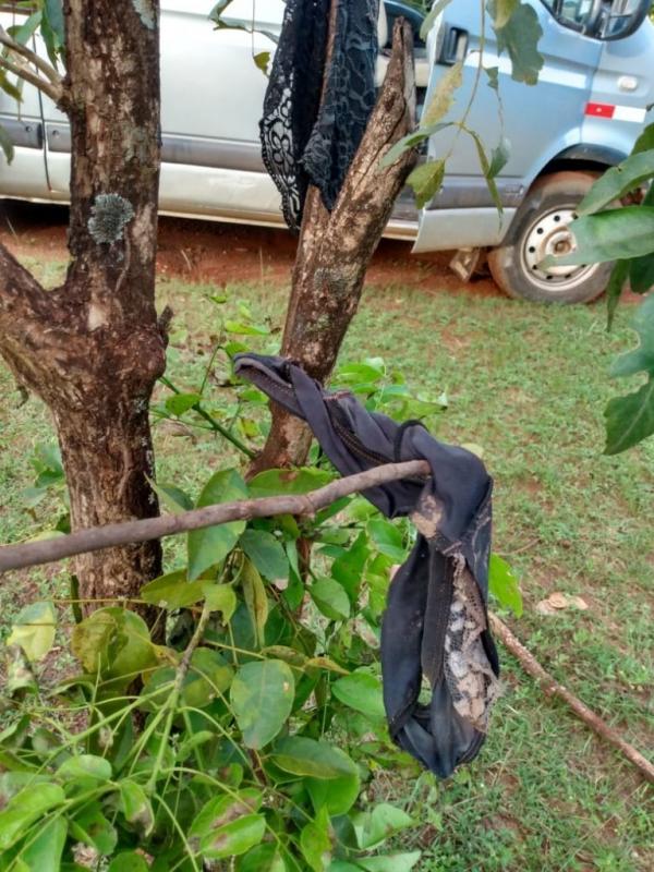 Várias calcinhas são encontradas penduradas em árvore no Norte do Piauí