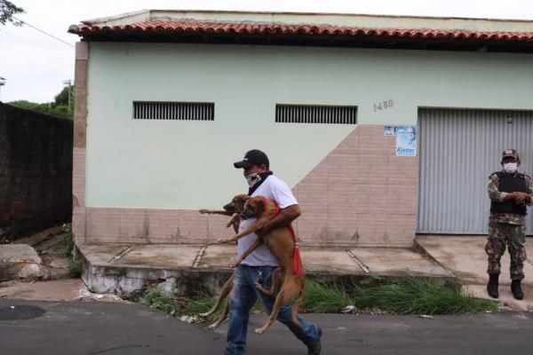 C&atilde;es abandonados foram resgatados pela pol&iacute;cia em Teresina.(Imagem: Naftaly Nascimento/G1)