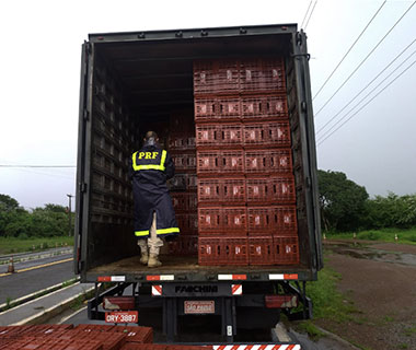 PRF apreende R$ 2,5 mi em cigarros contrabandeados na BR 343