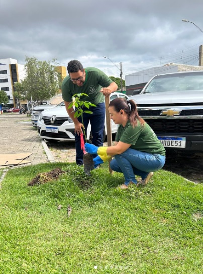 Projeto Floriano Mais Verde realiza plantios para conservação ambiental