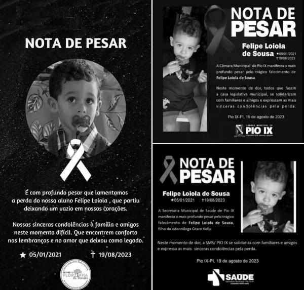 G&ecirc;meo de 2 anos, filho de dentista, morre atropelado na BR-020 no Piau&iacute;.(Imagem:Reprodu&ccedil;&atilde;o)