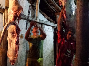 Prefeitura de Teresina tem 30 dias para regularizar abatedouros