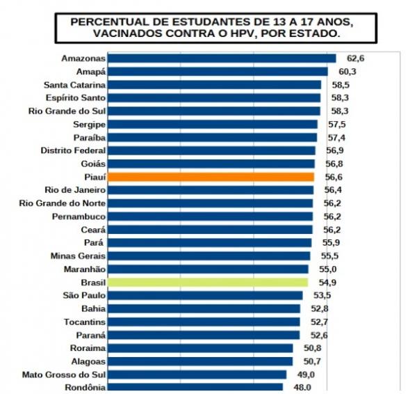 Piauí lidera desinformação sobre vacina contra HPV entre jovens, aponta IBGE(Imagem:Divulgação)
