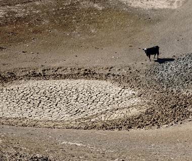Governador decreta emergência em 45 cidades por causa da seca