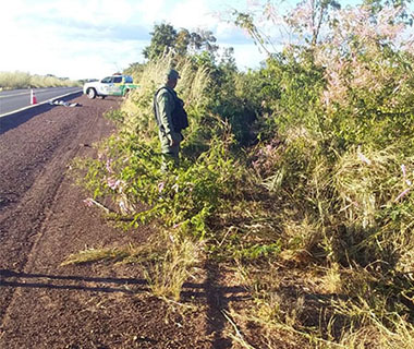 Homem sobrevive a acidente e morre com tiro ao pedir por socorro