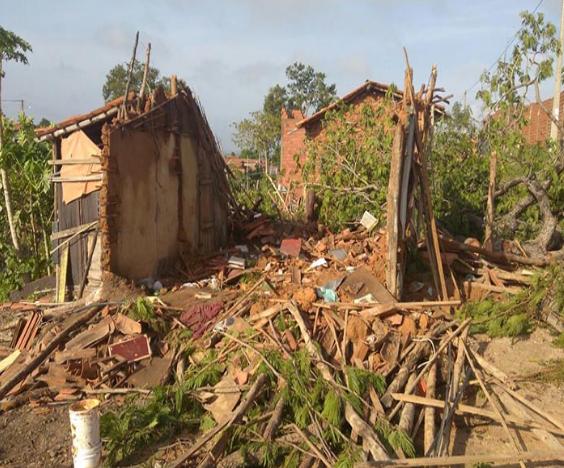 Árvore cai sobre casa após forte chuva e família perde tudo