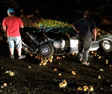 Carga de laranja esmaga carro e mata família em BR