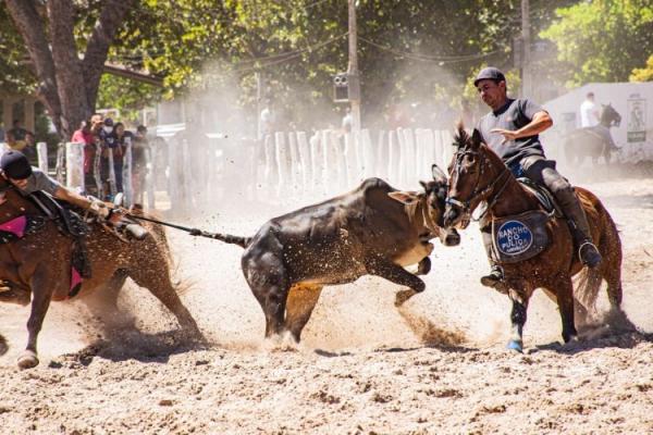 Prefeitura de Floriano apoia a realiza&ccedil;&atilde;o da III Vaquejada dos Amigos (Imagem:Secom)