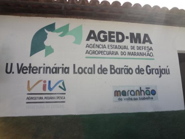 AGED-MA apreendeu 50 kg de carne proveniente de Floriano