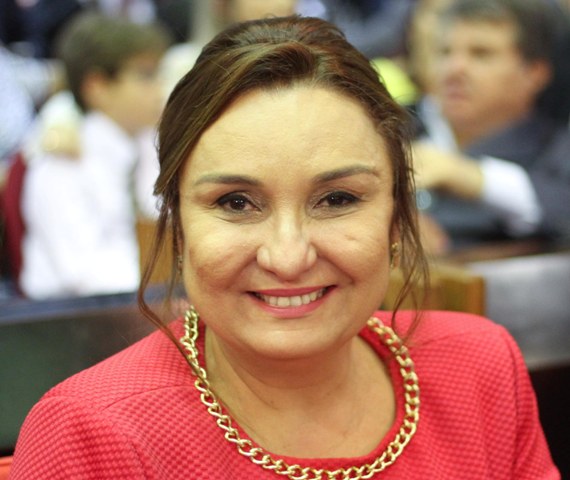 Flora Izabel propõe audiência pública para discutir a interrupção do Luz Para Todos no Piauí