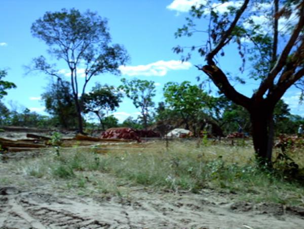 Novo conjunto habitacional ser&aacute; constru&iacute;do em Floriano(Imagem:FlorianoNews)