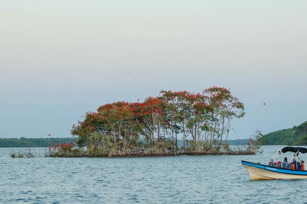 Delta do Rio Parnaíba registra crescimento de 23,6% na visitação turística em janeiro deste ano.(Imagem:Thiago Amaral)