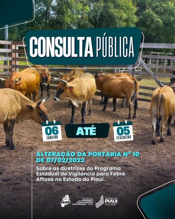 A consulta visa refor&ccedil;ar controle e competitividade da pecu&aacute;ria no estado.(Imagem:Divulga&ccedil;&atilde;o)