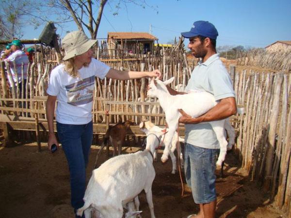 Curso sobre Manejo de Caprinos e Ovinos será desenvolvido em Floriano
