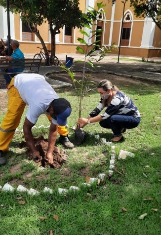 Seman realiza plano de arborização com plantio em praças municipais