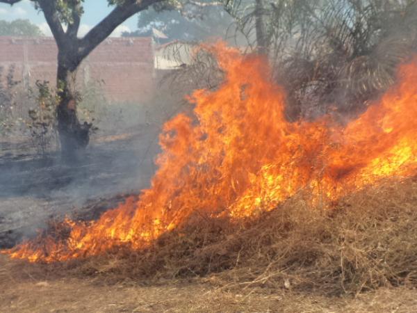 Corpo de Bombeiros registrou dois incêndios em terrenos baldios na tarde desta quinta em Floriano