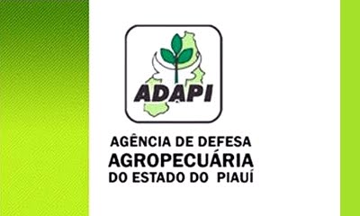 Funcionários da ADAPI entram de greve por tempo indeterminado