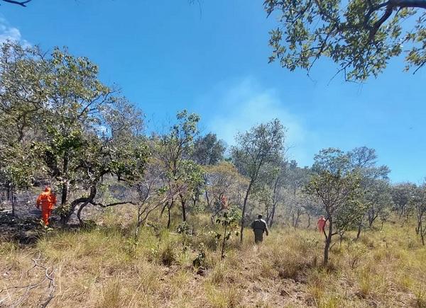  Inc&ecirc;ndio de grandes propor&ccedil;&otilde;es atinge &aacute;rea de 380 hectares de vegeta&ccedil;&atilde;o no Piau&iacute;.(Imagem:Reprodu&ccedil;&atilde;o )