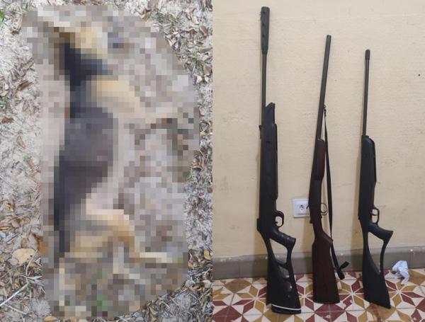 Homem é preso após matar cachorro a tiros e manter armas ilegais no Piauí(Imagem:Polícia Militar)