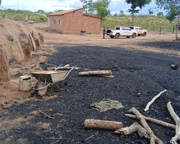 Operação Cerrado Vivo: Semarh desmonta carvoaria na região do município de Corrente