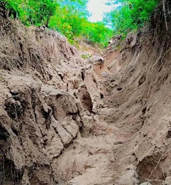 Comunidades do Sul do Piau&iacute; enfrentam isolamento ap&oacute;s fortes chuvas; ?SOS?(Imagem:Reprodu&ccedil;&atilde;o/redes sociais)