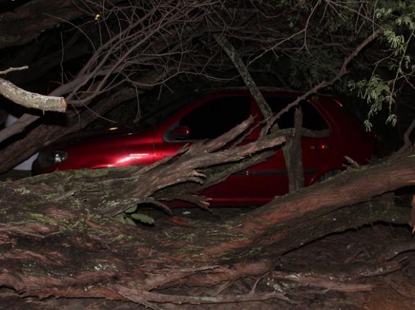 Árvore cai sobre carro e moto deixando uma pessoa ferida.(Imagem:Ellyo Teixeira/G1)