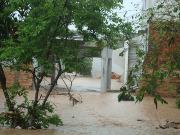 Imagens do quintal de uma casa na rua Afonso Nogueira(Imagem:reda&ccedil;&atilde;o)
