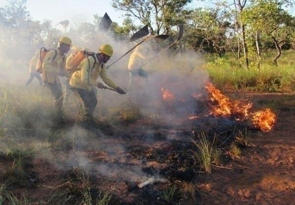 CBMEPI tem agido de forma incans&aacute;vel para proteger o meio ambiente e a popula&ccedil;&atilde;o. (Imagem:CBMEPI)