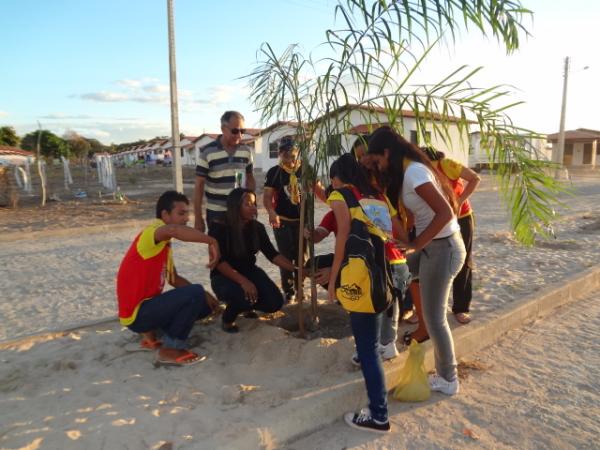 Dia do Meio Ambiente é marcado por plantio de mudas em Floriano