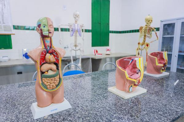 Todos os municípios do Piauí aderiram ao Programa Saúde na Escola e vão receber mais de R$ 3,1 mi