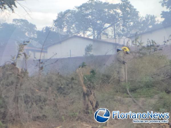 Corpo de Bombeiros registrou dois incêndios em terrenos baldios na tarde desta quinta em Floriano.(Imagem:FlorianoNews)