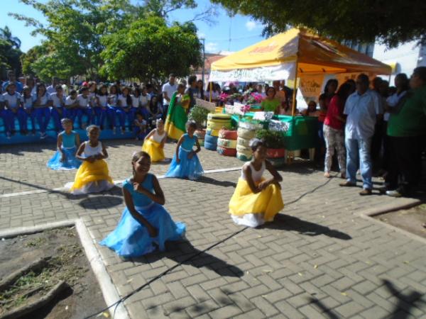 Semana do Meio Ambiente é aberta com atividades em Floriano.(Imagem:FlorianoNews)