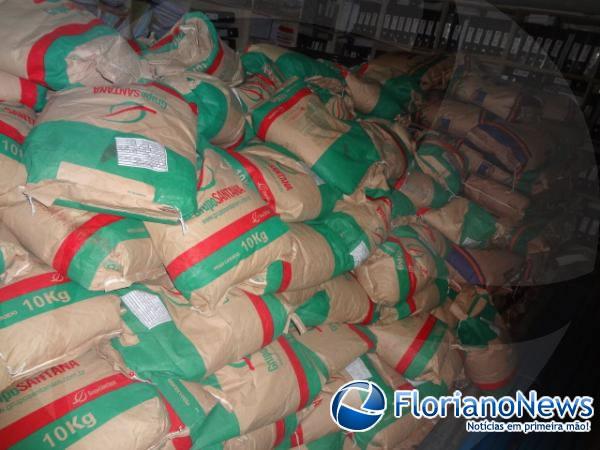 Sementes de feij&atilde;o para plantio.(Imagem:FlorianoNews)