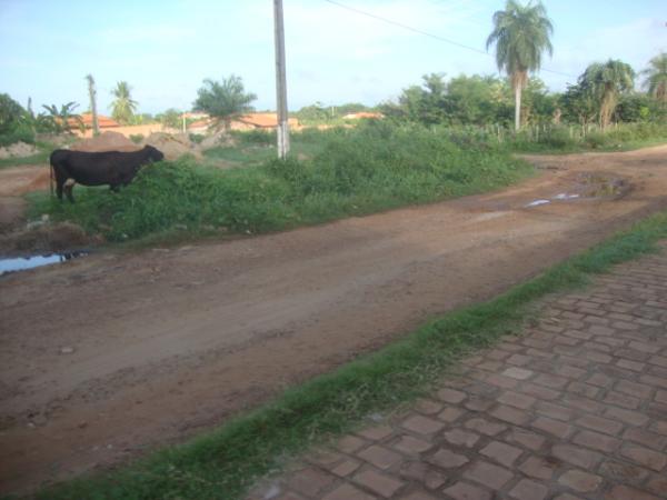Trecho da Anel Vi&aacute;rio sem cal&ccedil;amento(Imagem:Reda&ccedil;ao)