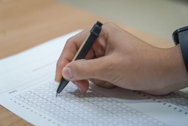 Conselho de Medicina Veterinária tem concurso público com 105 vagas de emprego