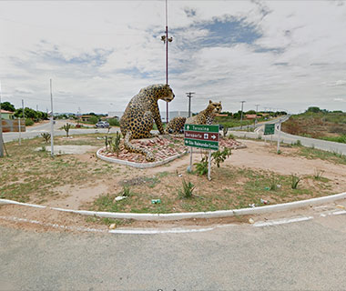 Polícia desmente boato de venda de carne de gato no interior do PI