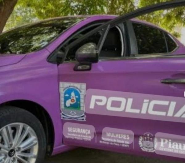 Ação rápida da Patrulha Maria da Penha resulta na detenção de agressor em Floriano