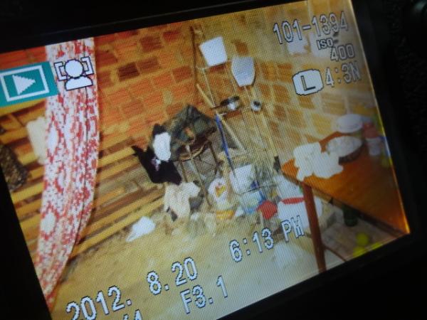 Homem &eacute; preso acusado de tr&aacute;fico drogas e maus tratos contra av&oacute;.(Imagem:FlorianoNews)
